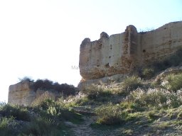 Castillo de Pliego 2009